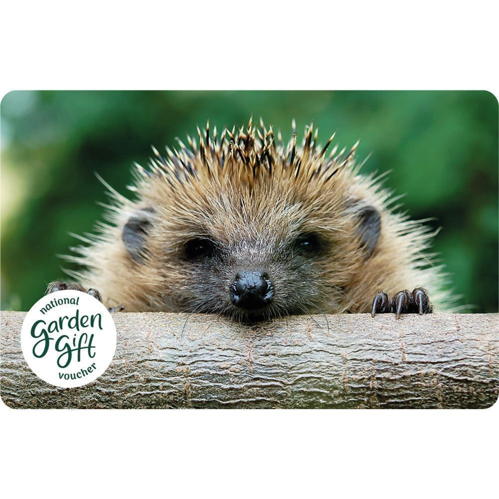 National Garden Hedgehog Gift Card £5